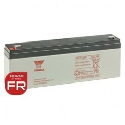 Batterie NP2.1-12FR YUASA - Plomb - AGM - 12V - 2.1Ah